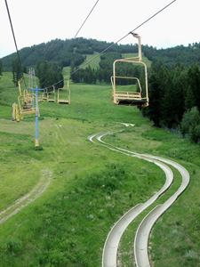 Jackson Hole - July 2010 (79).JPG